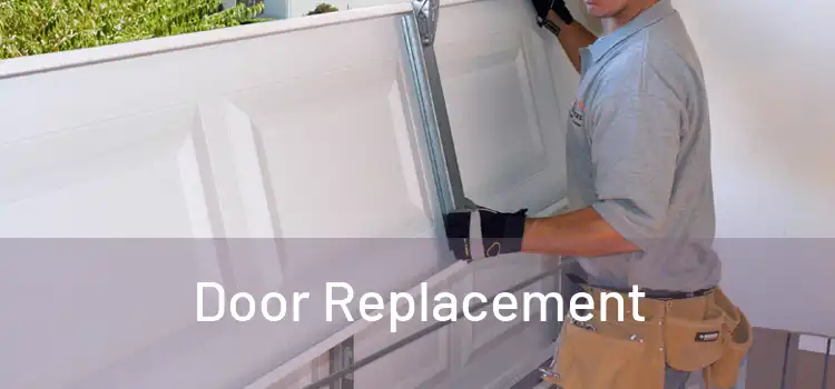  Door Replacement 